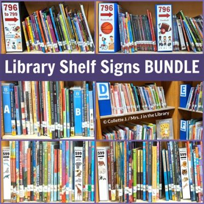 how to shelve library books: the art of classification in libraries