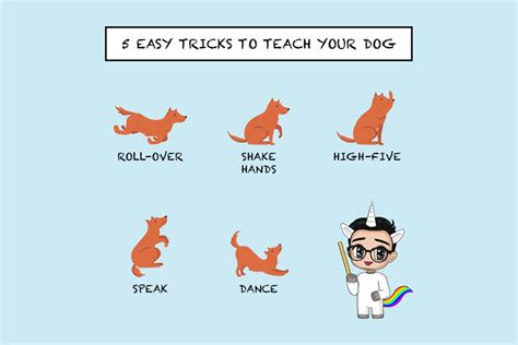 how to teach a dog to dance: A reflection on the art of teaching and learning